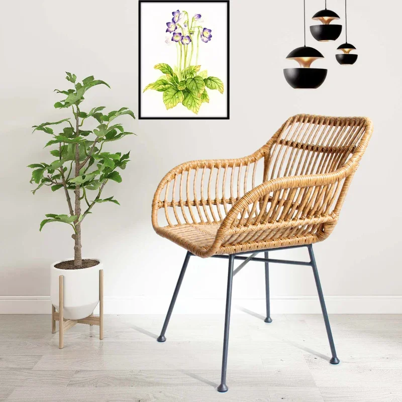 Nordic Dining Chairs for Kitch - Outdoor Furniture Kitchener recension och pris